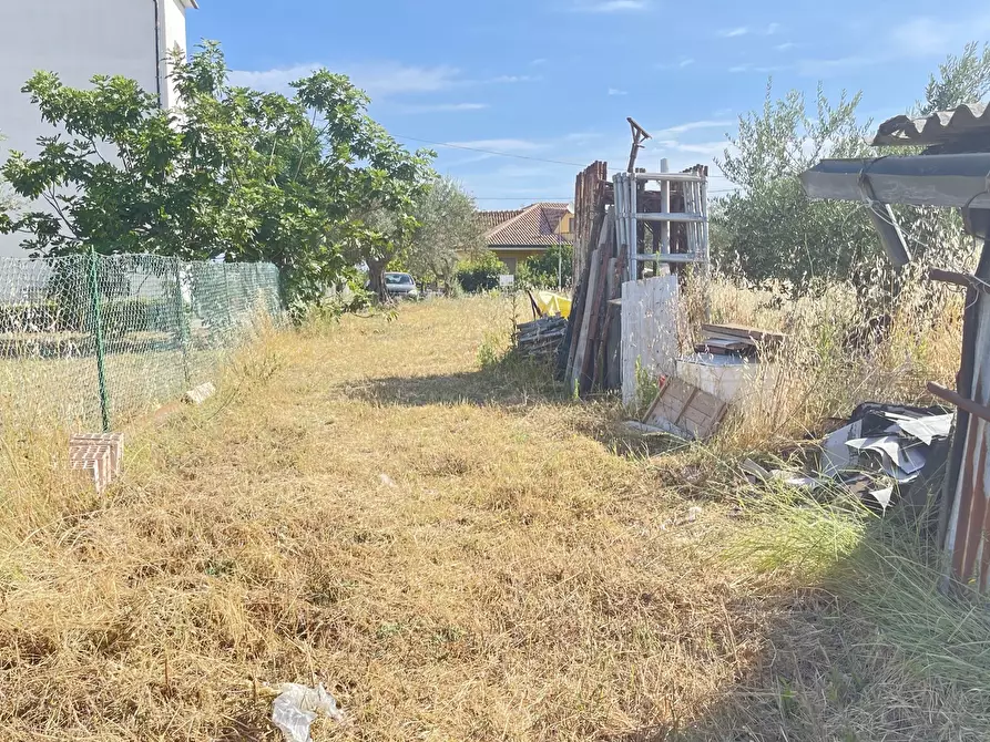 Immagine 17 di Terreno agricolo in vendita  a Silvi