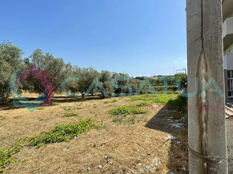 Immagine 4 di Terreno agricolo in vendita  in Contrada Piomba 22 a Silvi