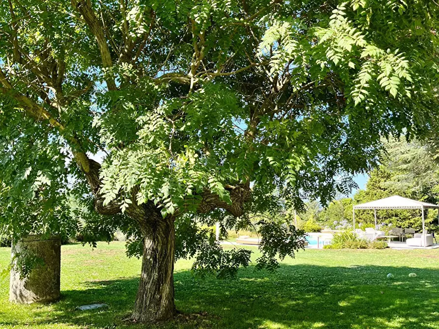 Immagine 30 di Rustico / casale in vendita  in Via Soggia 6 a Sarzana