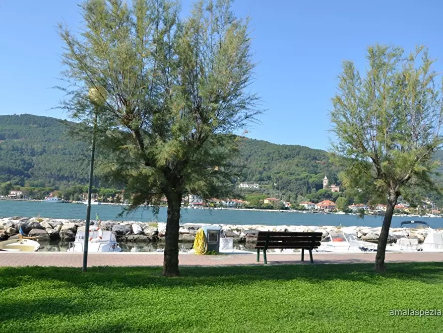 Immagine 16 di Terratetto in vendita  in Via Baban 24 a Ameglia