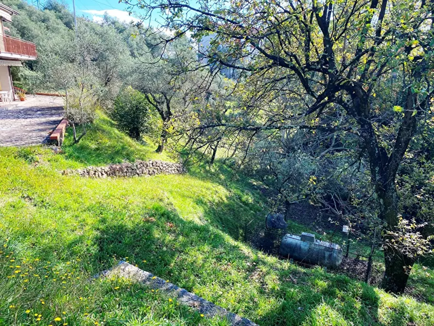 Immagine 17 di Villa in vendita  in Via Ghigliolo Alto 26 a Sarzana