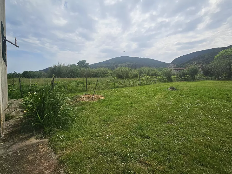 Immagine 5 di Rustico / casale in vendita  in Via Arena 12 a Ameglia