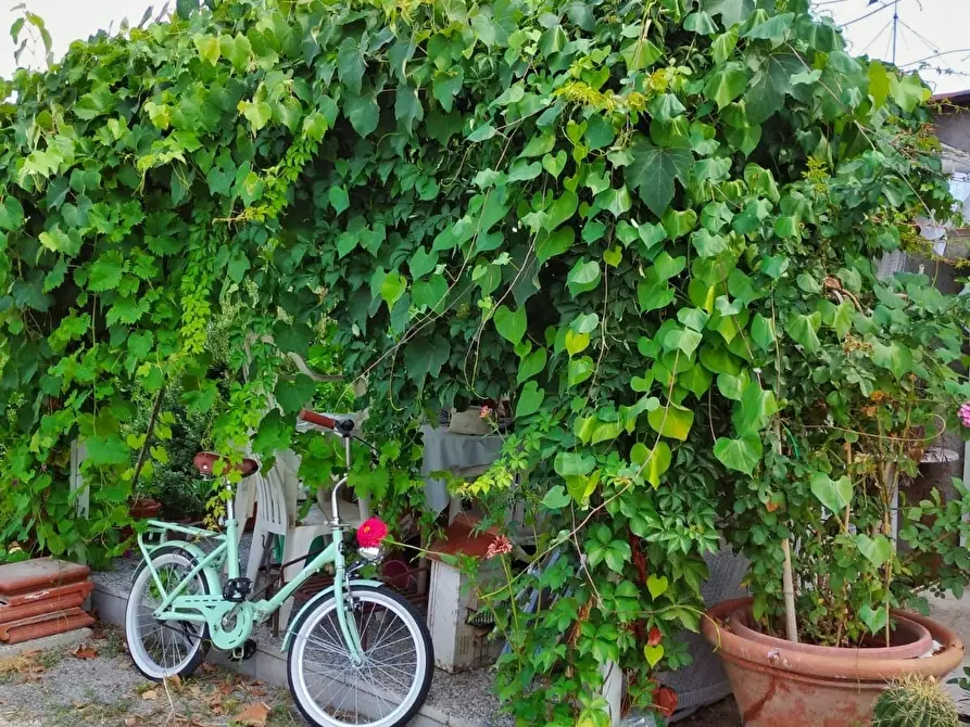 Immagine 31 di Porzione di casa in vendita  in Via Montecavallo a Sarzana