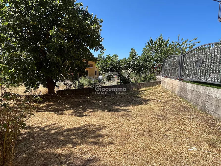 Immagine 20 di Casa indipendente in vendita  in Largo Gagliardi a Avigliano