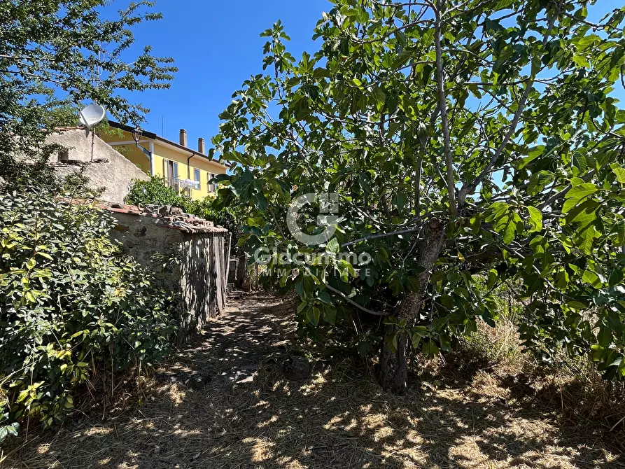 Immagine 24 di Casa indipendente in vendita  in Largo Gagliardi a Avigliano