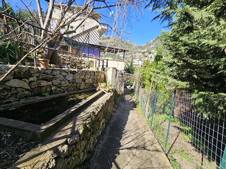 Immagine 17 di Bilocale in affitto  in Via Serra Paratore a Monreale