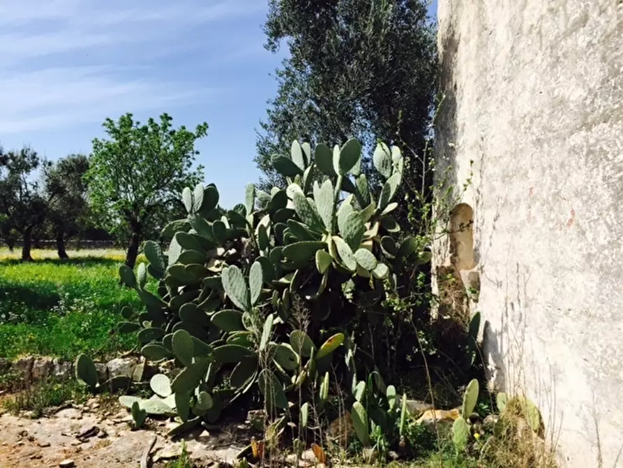 Immagine 11 di Terreno edificabile in vendita  in Contrada Giovannarolla a Ostuni