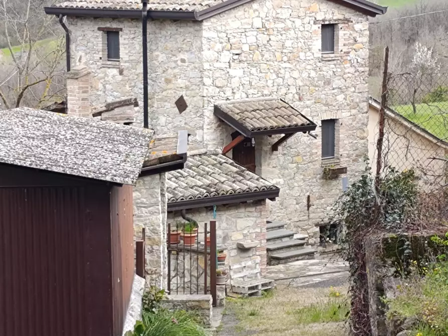 Immagine 3 di Casa indipendente in vendita  a Terenzo