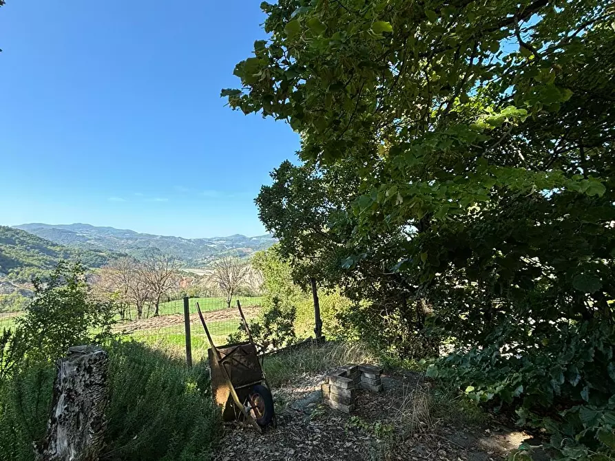 Immagine 8 di Porzione di casa in vendita  a Varano De' Melegari