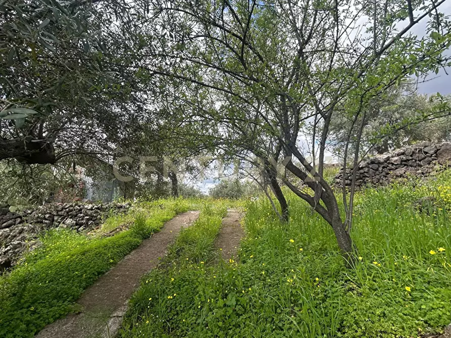 Immagine 15 di Terreno edificabile in vendita  in Viale Giovanni Falcone 9 a Camporotondo Etneo