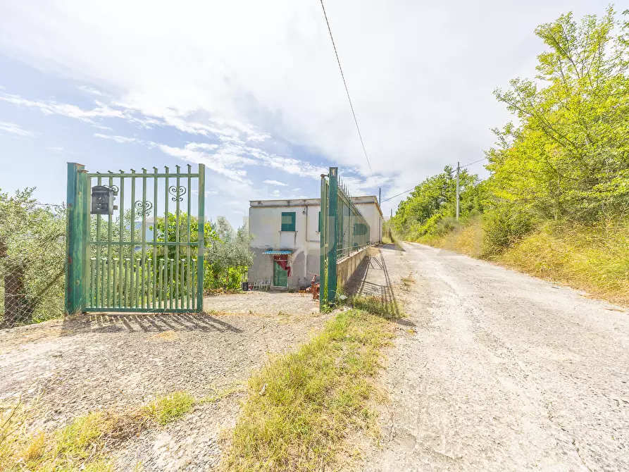 Immagine 6 di Rustico / casale in vendita  in via mercorano 1 a San Gregorio Da Sassola