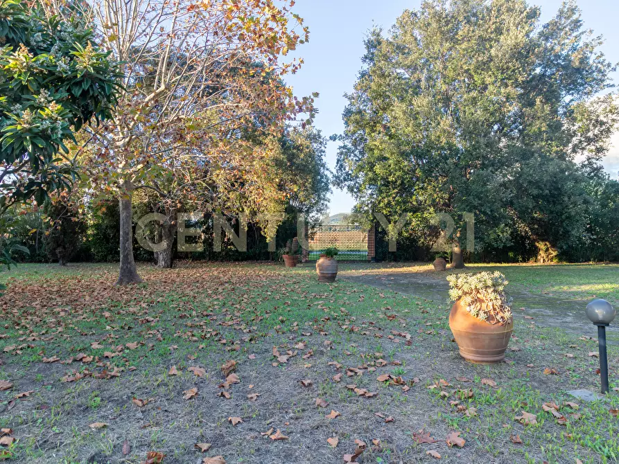 Immagine 10 di Villa in vendita  in Località Pian d'Alma a Castiglione Della Pescaia
