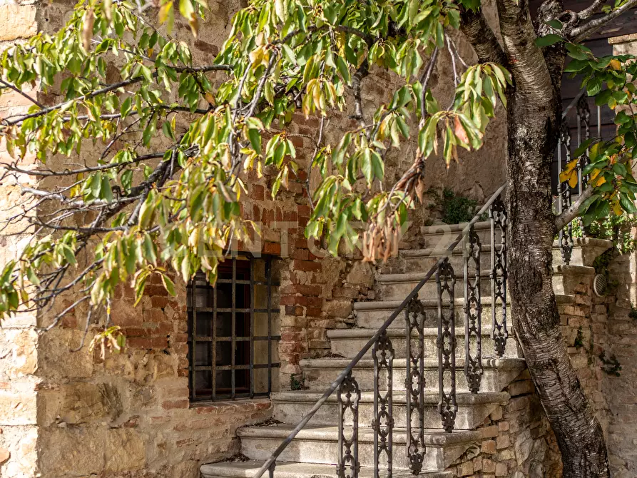 Immagine 80 di Trilocale in vendita  in Via delle Fornaci a Murlo