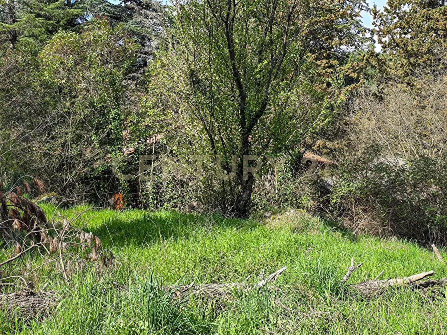 Immagine 24 di Rustico / casale in vendita  in Strada Provinciale 7 a Cinigiano