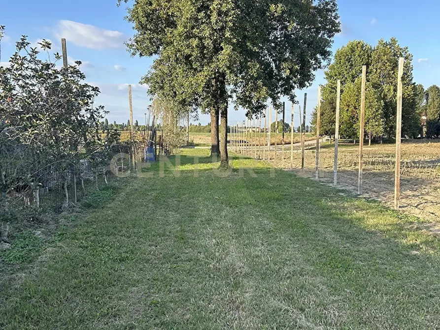 Immagine 62 di Rustico / casale in vendita  in Via Trento 70 a Minerbe