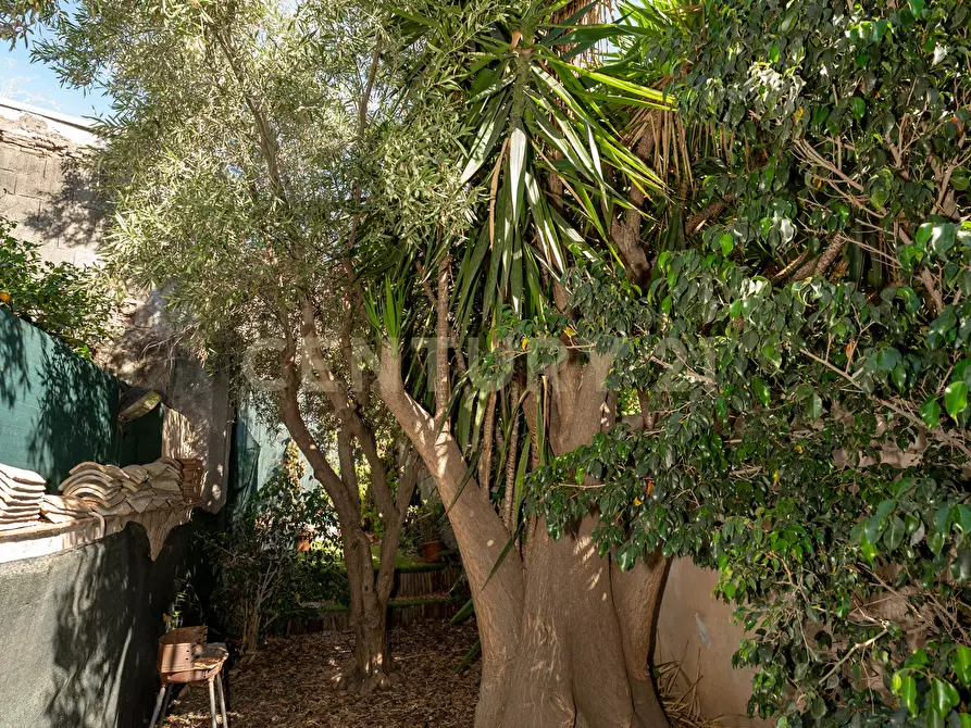 Immagine 36 di Casa indipendente in vendita  in Via Anastasio 32 a Catania