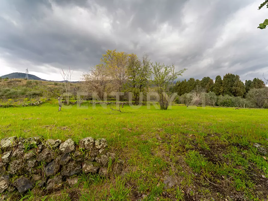 Immagine 36 di Casa indipendente in vendita  in Via Armando Diaz 83 a Zafferana Etnea