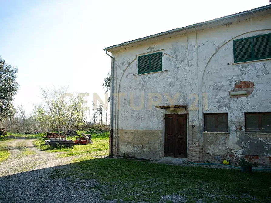 Immagine 5 di Rustico / casale in vendita  a Civitella Paganico