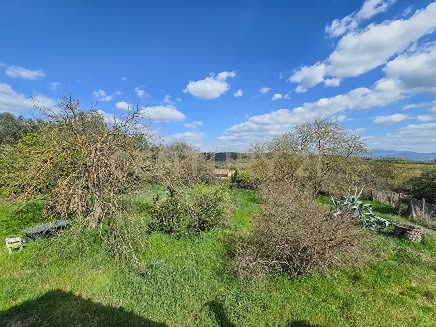 Immagine 22 di Rustico / casale in vendita  in Vial podere nuovo snc a Civitella Paganico