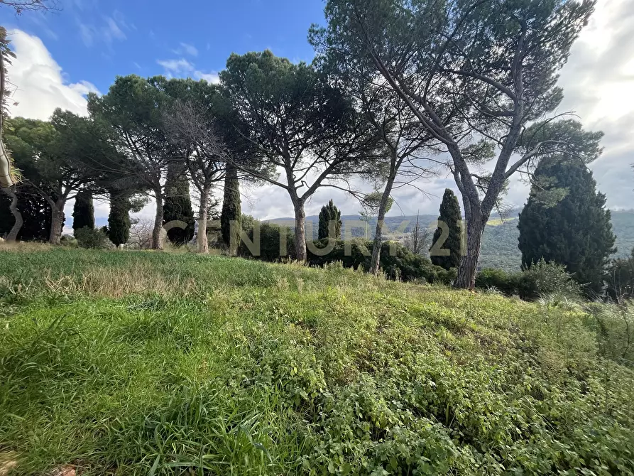 Immagine 4 di Pentalocale in vendita  in località casini a Scansano