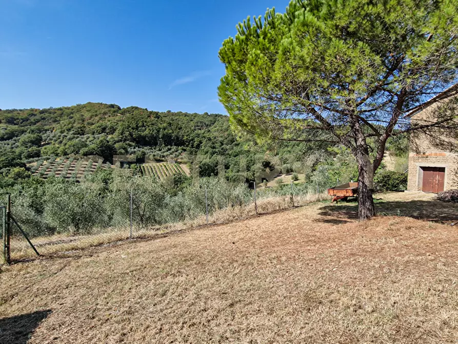 Immagine 20 di Rustico / casale in vendita  in Strada Provinciale Voltina 12 a Cinigiano