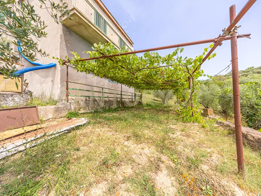 Immagine 3 di Rustico / casale in vendita  in via mercorano 1 a San Gregorio Da Sassola