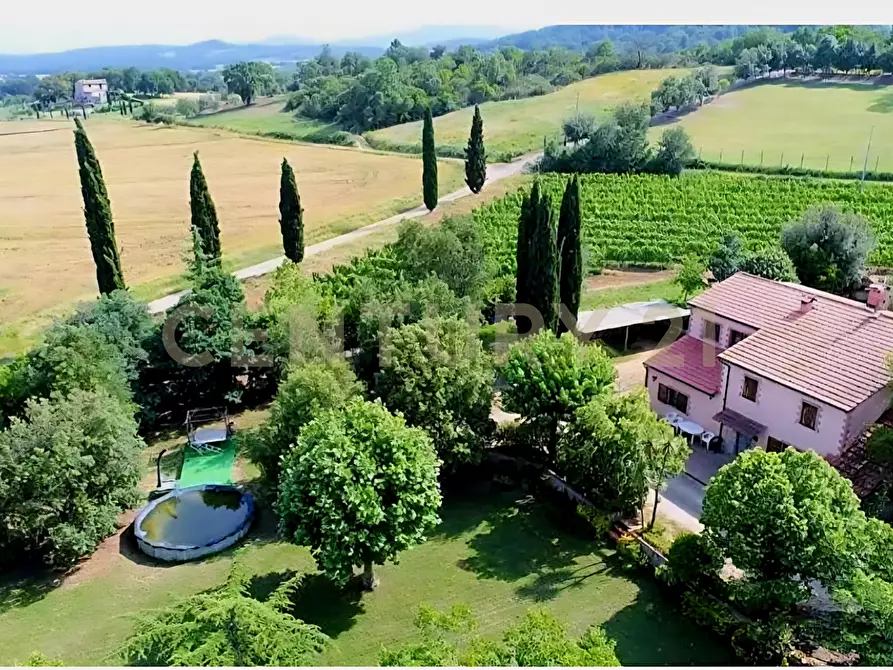 Immagine 4 di Rustico / casale in vendita  in località poggetto dell'orso snc a Roccastrada