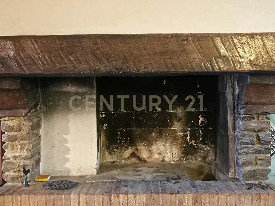 Immagine 15 di Pentalocale in vendita  in Via Amore 13 a Castiglione Della Pescaia