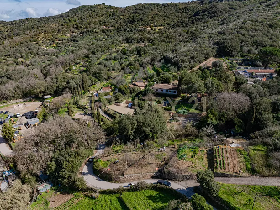 Immagine 9 di Rustico / casale in vendita  in Via del Campone 124 a Monte Argentario