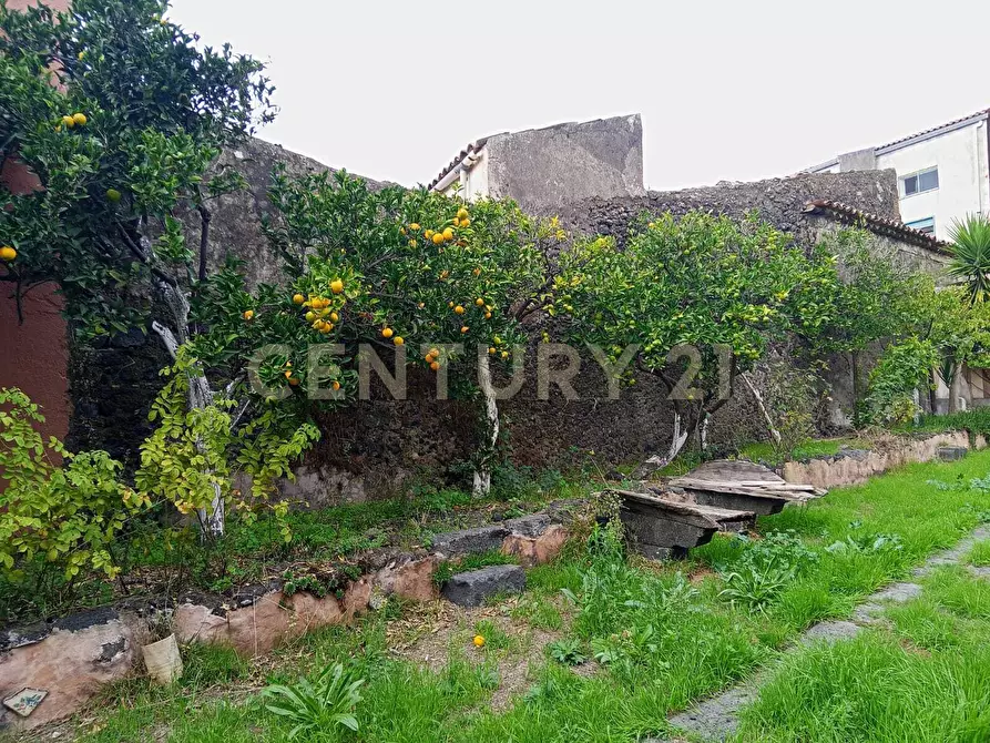 Immagine 78 di Villa in vendita  in Via Calvario 43 a Mascalucia