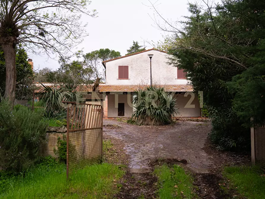 Immagine 6 di Rustico / casale in vendita  in sasso d'ombrone a Cinigiano