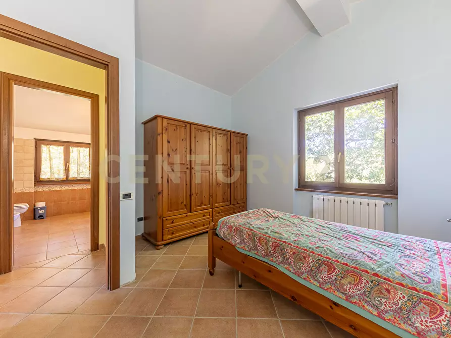 Immagine 81 di Rustico / casale in vendita  in località san quirichello a Barbarano Romano