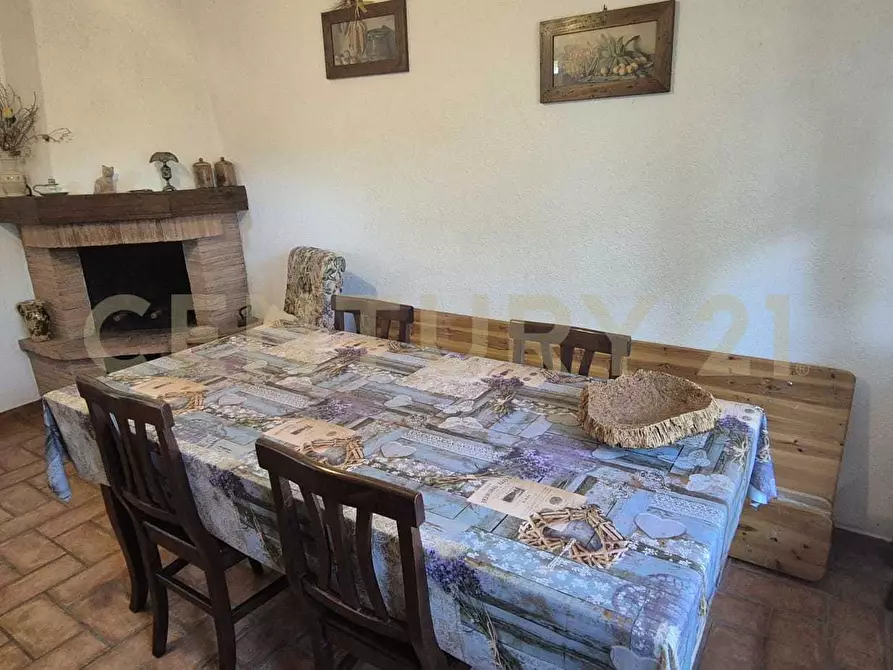 Immagine 9 di Azienda agricola in vendita  in località poggio al capraio snc a Roccastrada