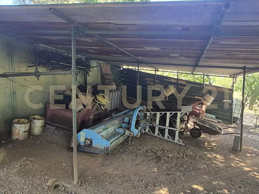 Immagine 37 di Azienda agricola in vendita  in località poggio al capraio snc a Roccastrada