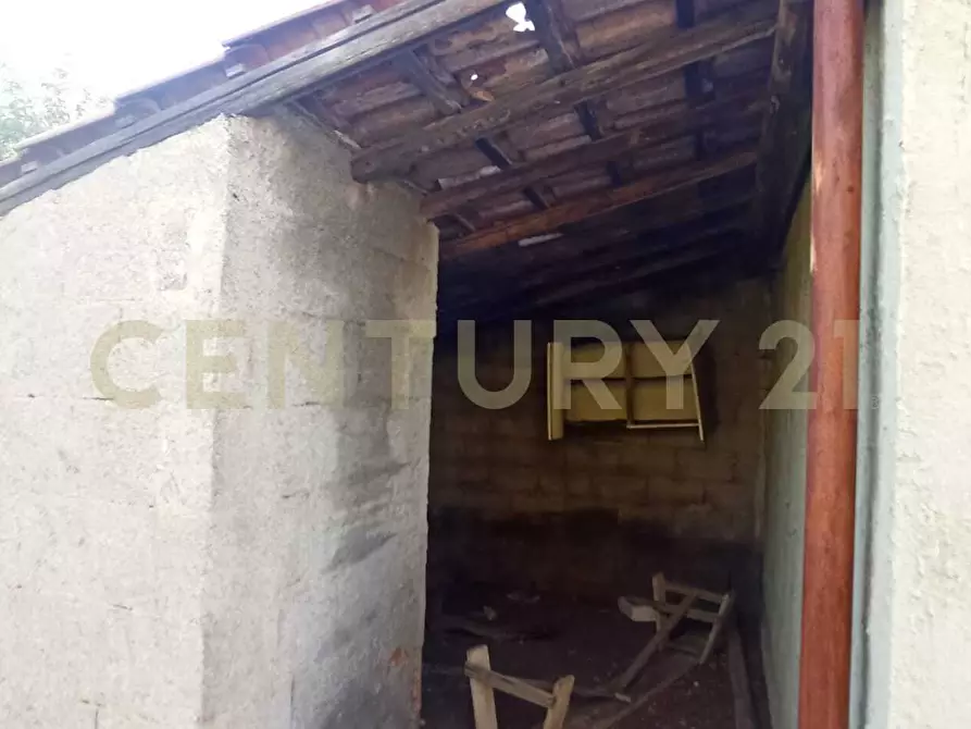 Immagine 6 di Terreno agricolo in vendita  in C.da Filiciusa a Biancavilla