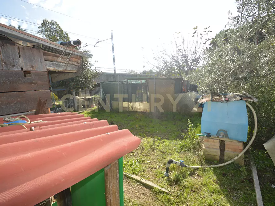 Immagine 9 di Terreno agricolo in vendita  in Via Alberto Sordi 12 a Grosseto