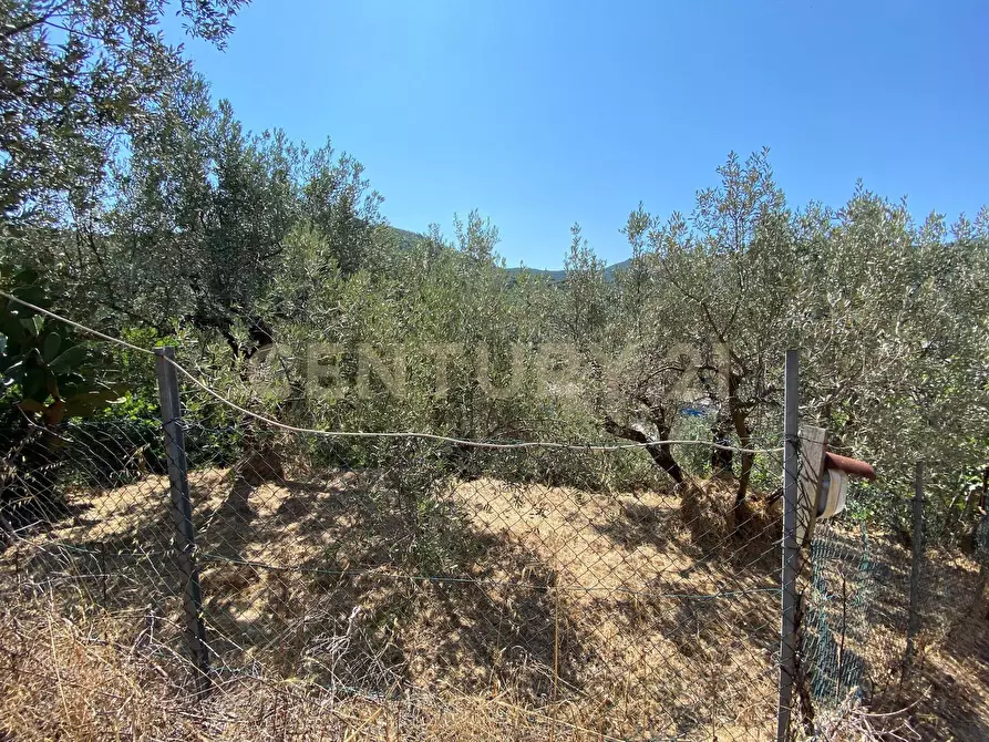 Immagine 10 di Rustico / casale in vendita  in Via del Campone 68A a Monte Argentario