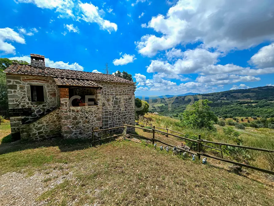 Immagine 15 di Rustico / casale in vendita  in podere le rocchette snc a Roccastrada