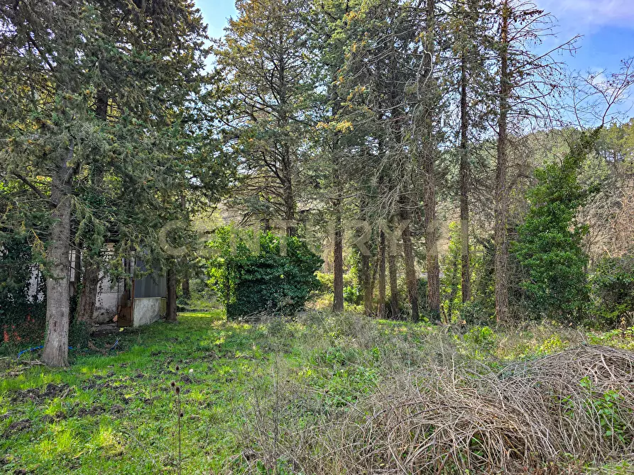 Immagine 28 di Rustico / casale in vendita  in Strada Provinciale 7 a Cinigiano