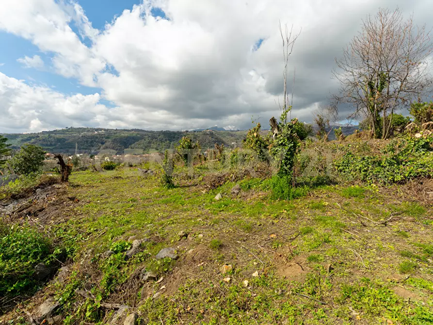 Immagine 12 di Terreno agricolo in vendita  in via giuseppe zinghirino 1 a Giarre