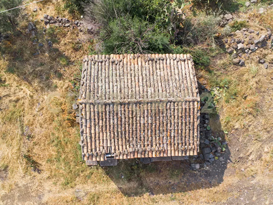 Immagine 4 di Terreno agricolo in vendita  in Via San Leo a Adrano