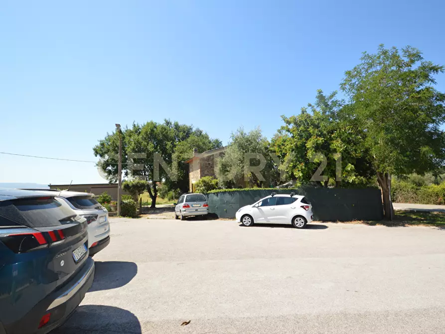 Immagine 5 di Attività artigianale in vendita  a Campagnatico