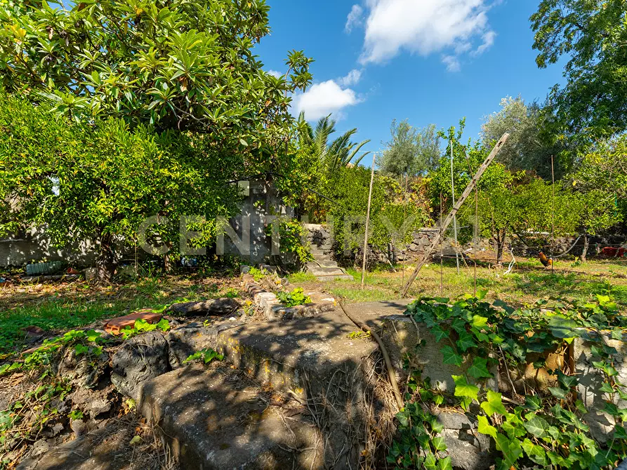 Immagine 21 di Villa in vendita  in Via di Bartolo a San Gregorio Di Catania