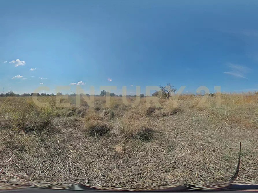 Immagine 27 di Terreno agricolo in vendita  in Via Margarone 5 a Motta Sant'anastasia