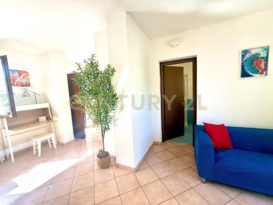 Immagine 38 di Terratetto in vendita  a Grosseto