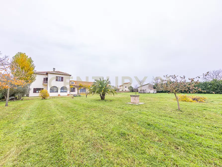 Immagine 31 di Rustico / casale in vendita  in Strada Provinciale Sipiccianese a Bomarzo