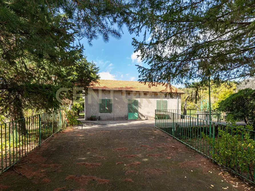 Immagine 11 di Villa in vendita  in Contrada Scolaro Cisterna a Adrano