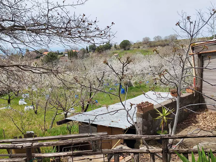 Immagine 8 di Terreno agricolo in vendita  in BIANCAVILLA a Catania