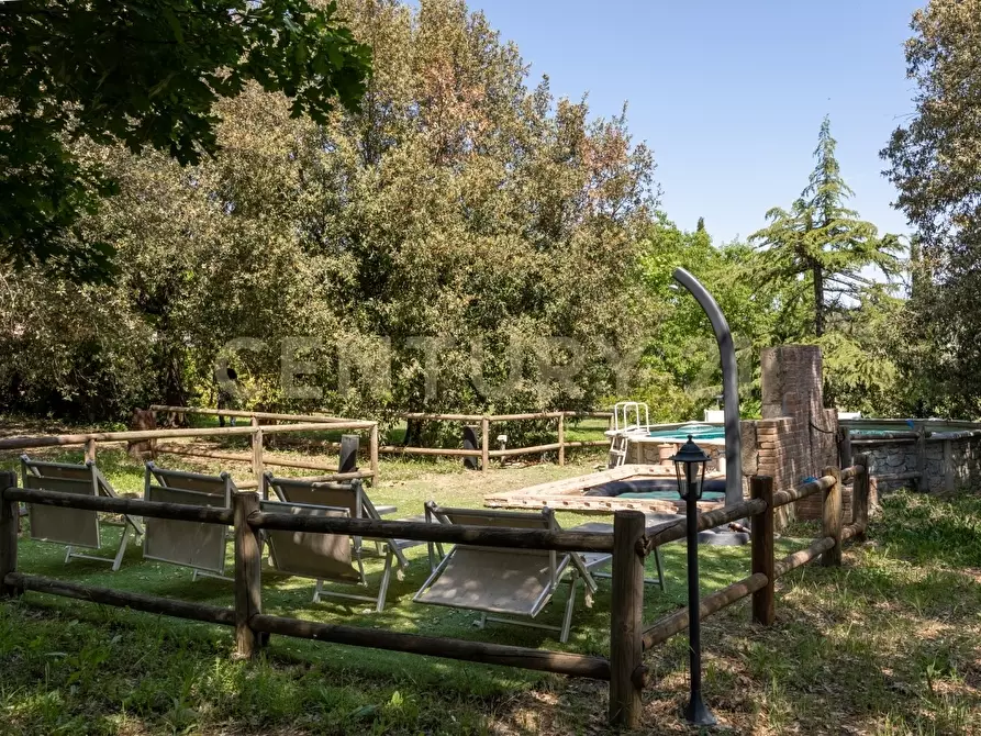 Immagine 21 di Rustico / casale in vendita  in località poggetto dell'orso snc a Roccastrada