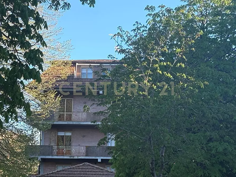 Immagine 3 di Pentalocale in vendita  in Via Orbetellana a Scansano